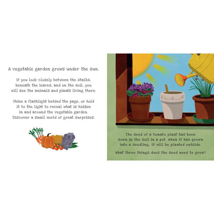 Secrets of the Vegetable Garden: A Shine the Light Book - Hardcover - Image 2