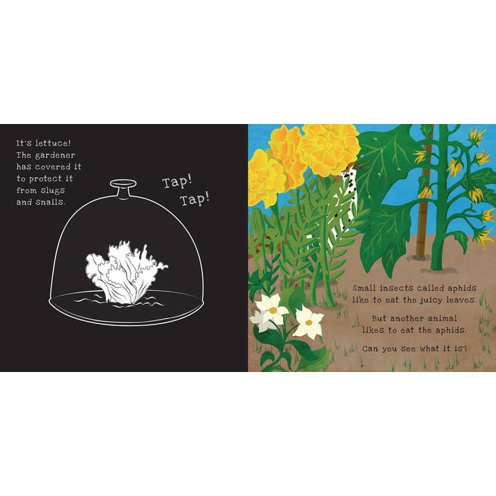 Secrets of the Vegetable Garden: A Shine the Light Book - Hardcover - Image 4