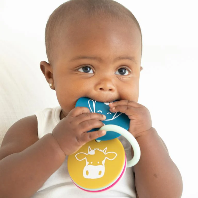 Silicone Teething Flashcards - Party Animals - Image 5