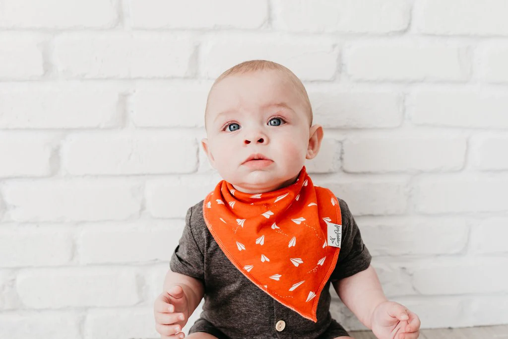 Single Bandana Bib - Ace by Copper Pearl - Image 4
