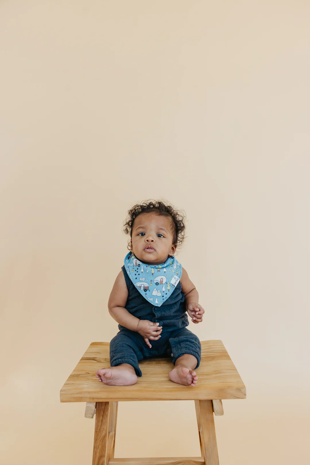 Single Bandana Bib - Bridger by Copper Pearl - Image 2