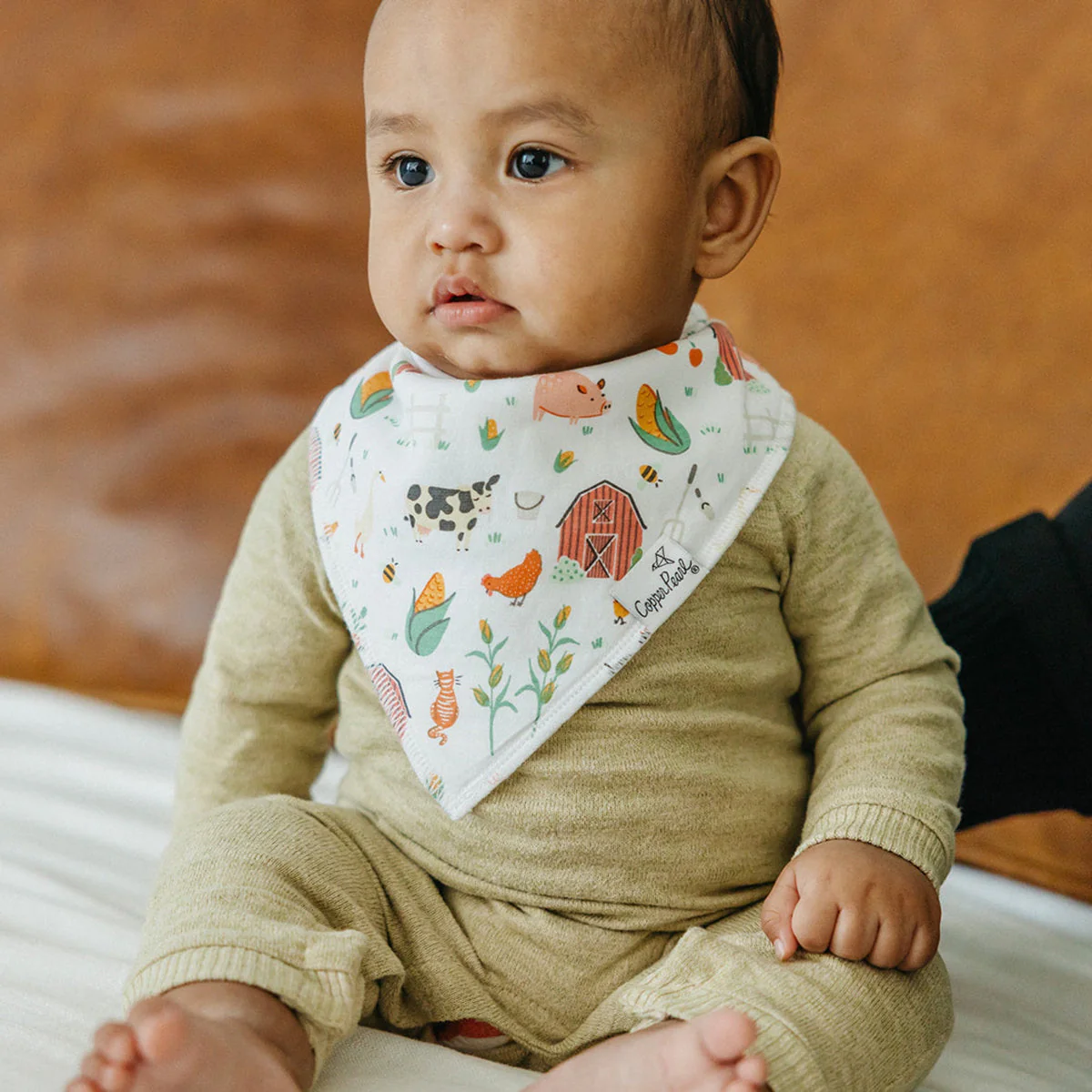 Single Bandana Bib - Farmstead by Copper Pearl - Image 3