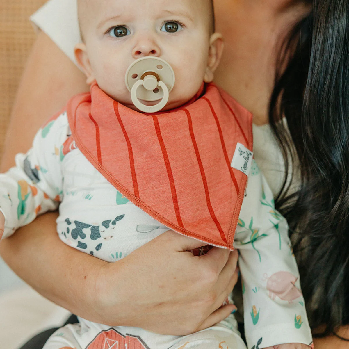 Single Bandana Bib - Farmstead by Copper Pearl - Image 4