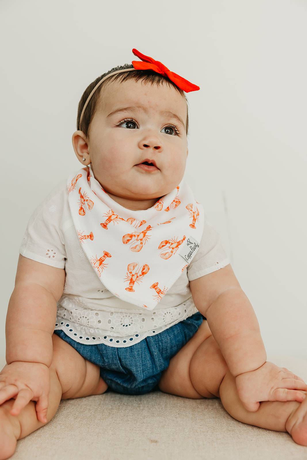 Single Bandana Bib - Fischer by Copper Pearl - Image 8