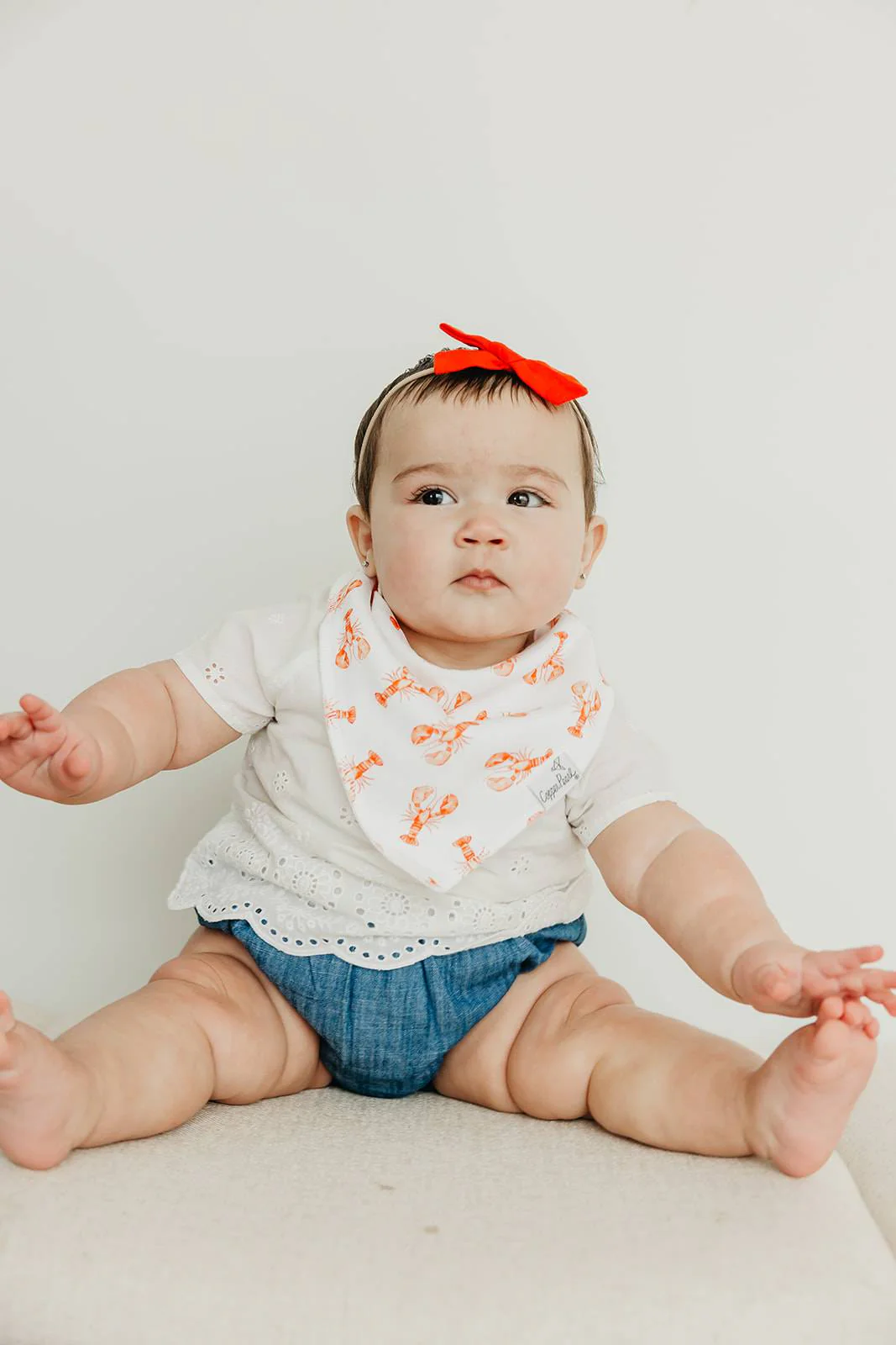 Single Bandana Bib - Fischer by Copper Pearl - Image 9