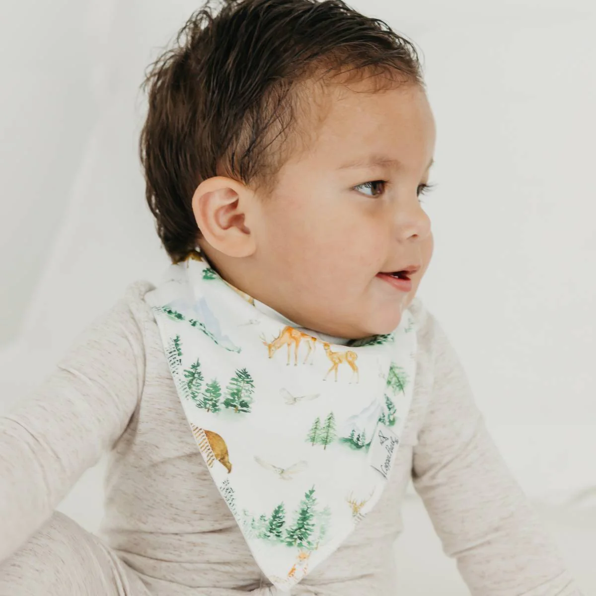 Single Bandana Bib - Grayson by Copper Pearl - Image 2