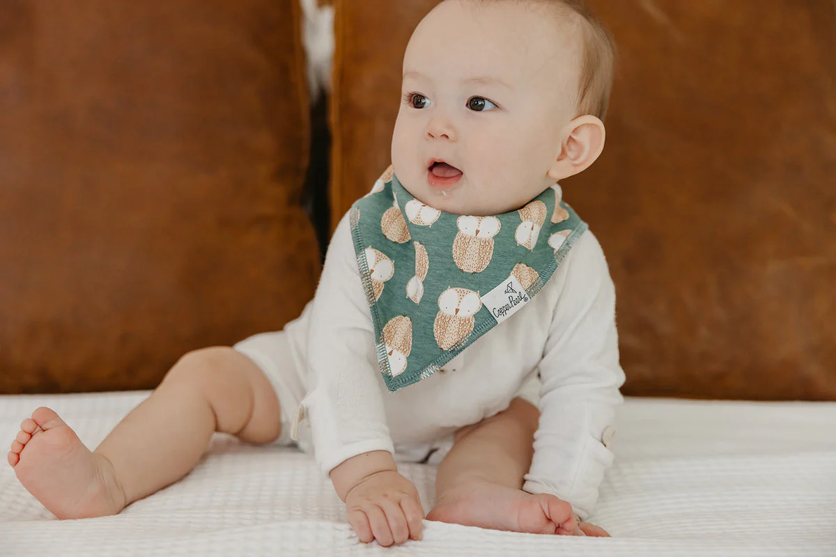 Single Bandana Bib - Ivy by Copper Pearl - Image 2