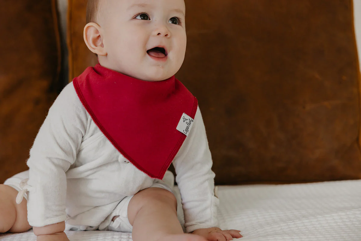 Single Bandana Bib - Ivy by Copper Pearl - Image 3