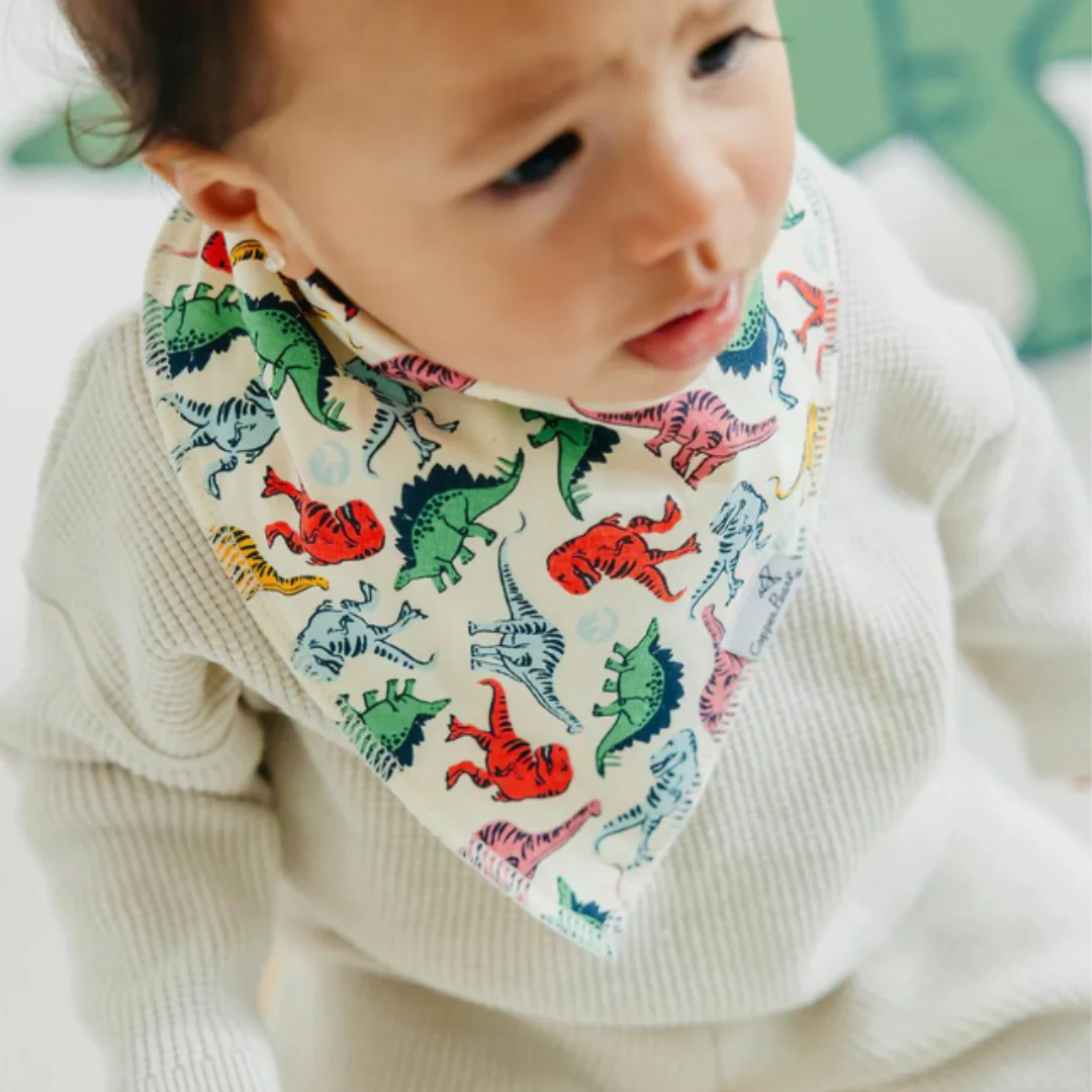 Single Bandana Bib - Jurassic Park by Copper Pearl - Image 4