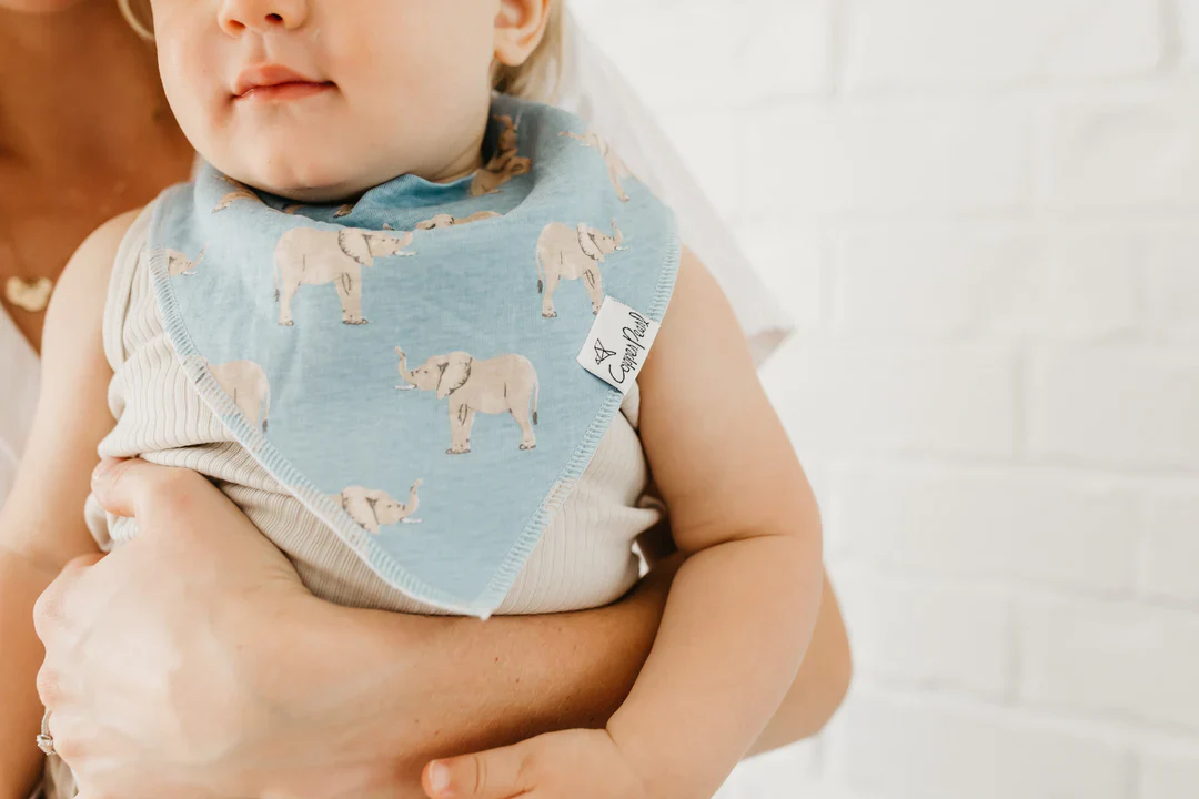 Single Bandana Bib - Peanut by Copper Pearl - Image 2