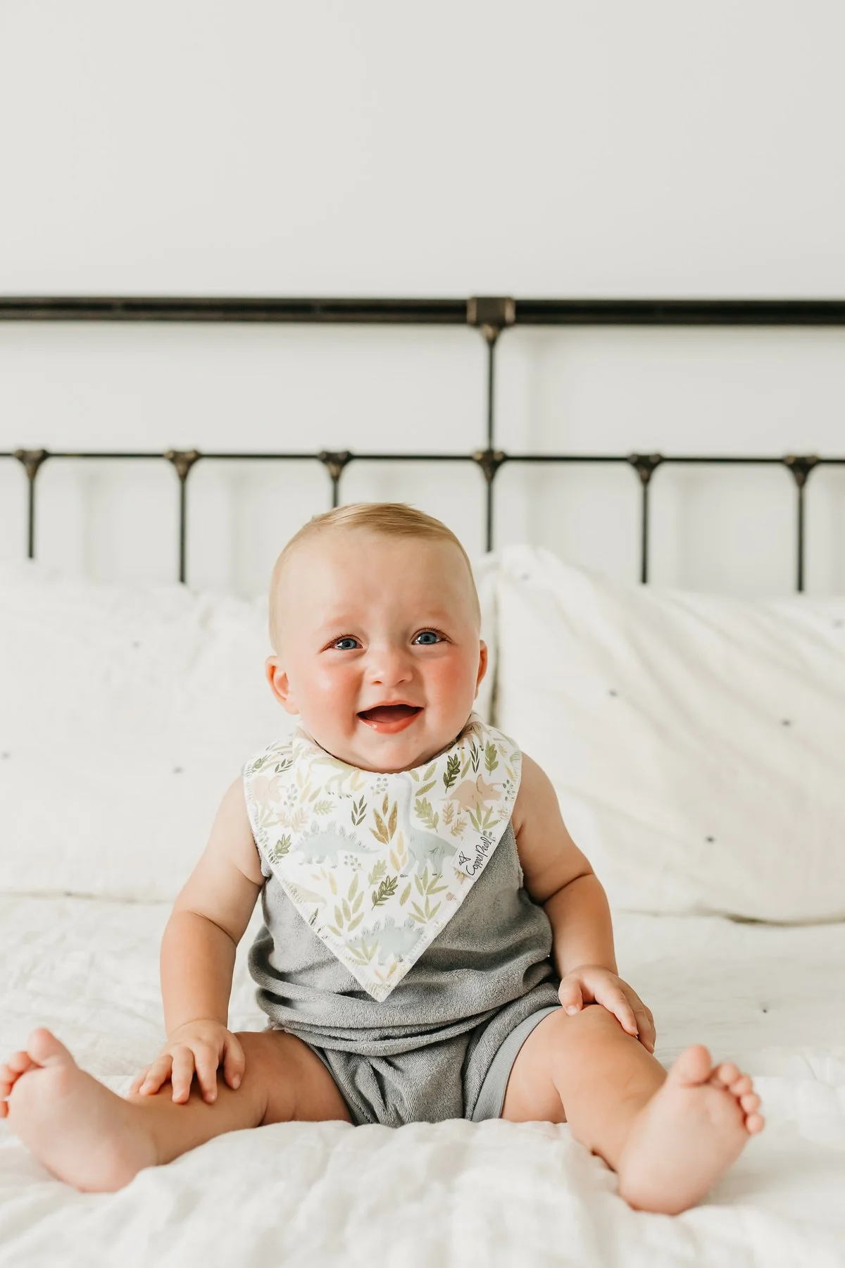 Single Bandana Bib - Rex by Copper Pearl - Image 2
