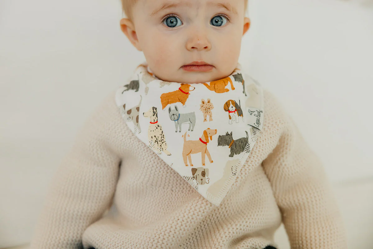 Single Bandana Bib - Rufus by Copper Pearl - Image 2