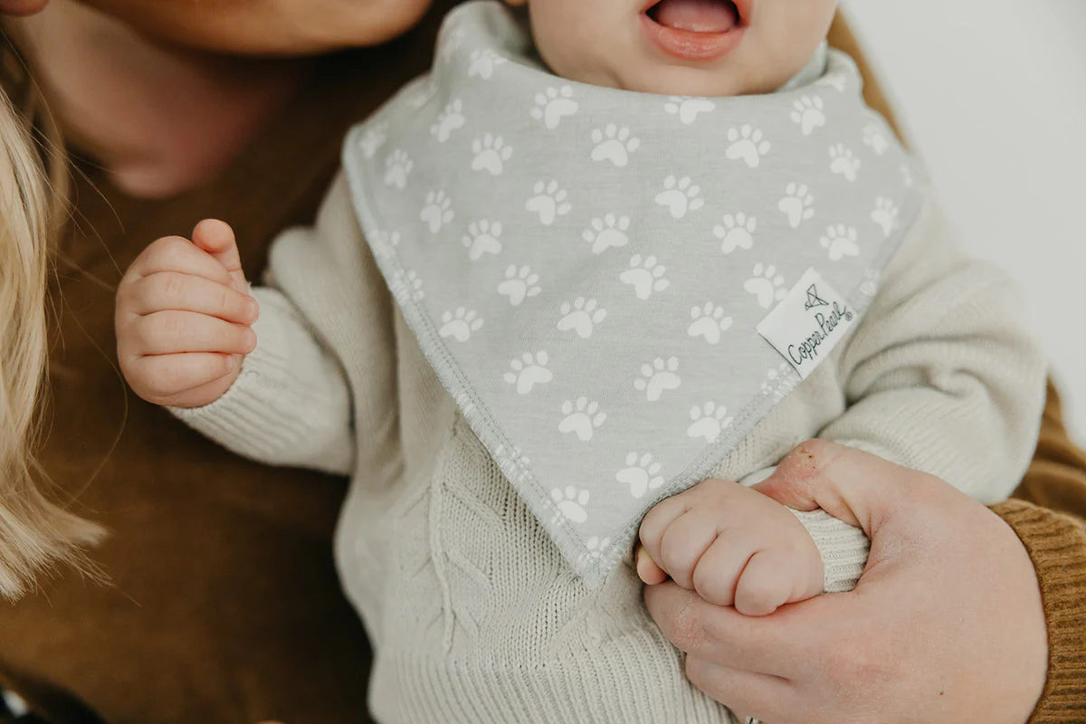Single Bandana Bib - Rufus by Copper Pearl - Image 3