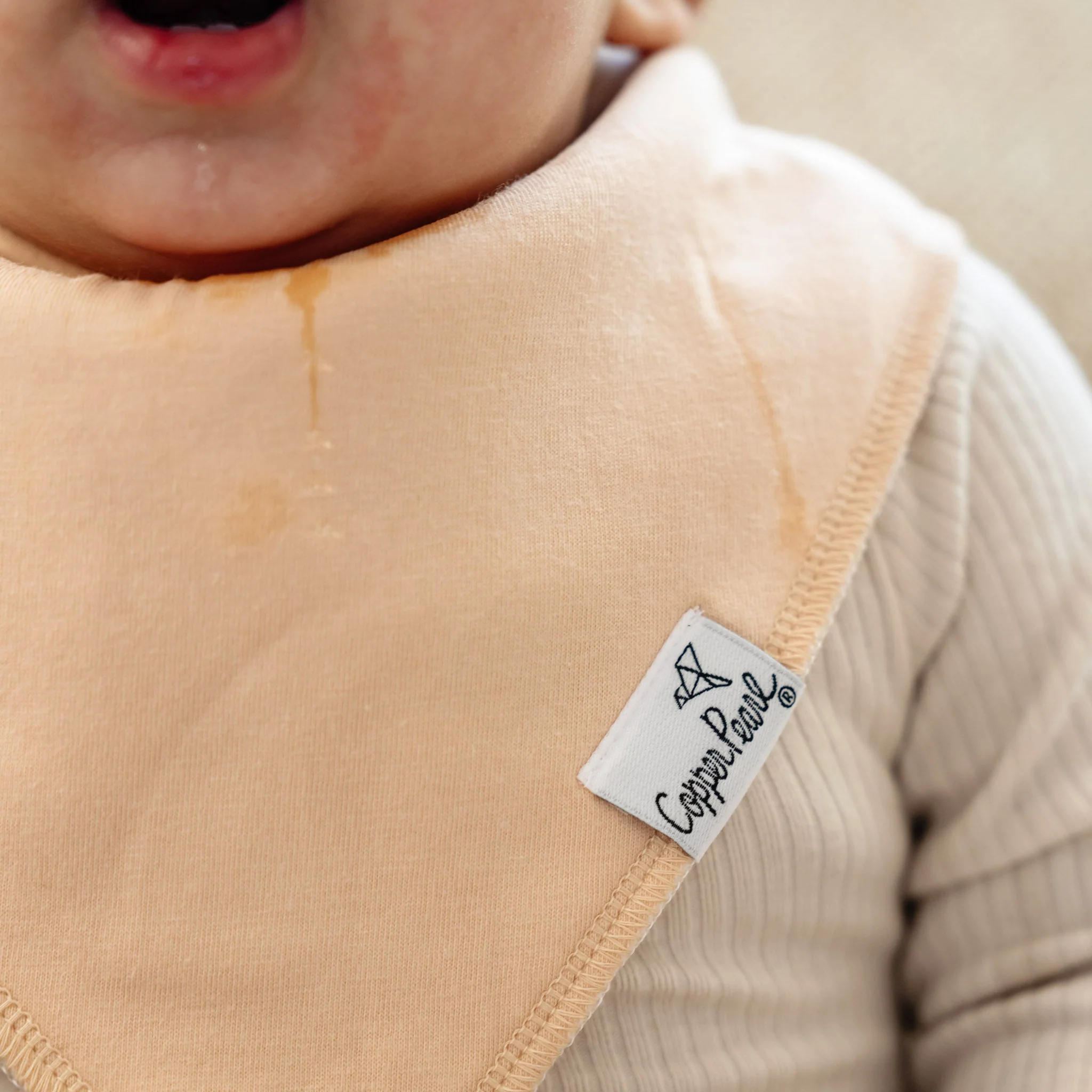 Single Bandana Bib - Ryder by Copper Pearl - Image 3