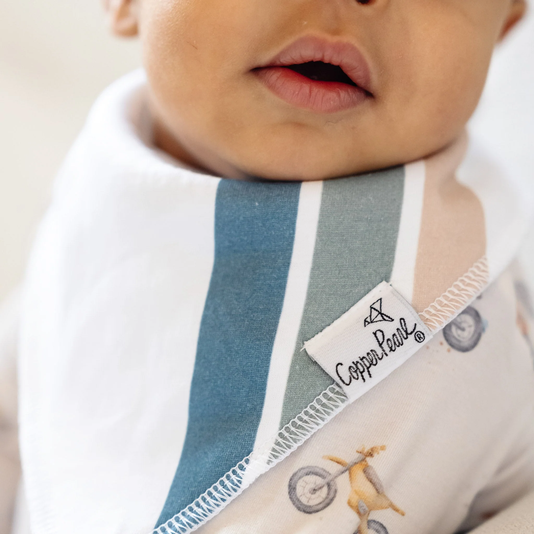 Single Bandana Bib - Ryder by Copper Pearl - Image 9