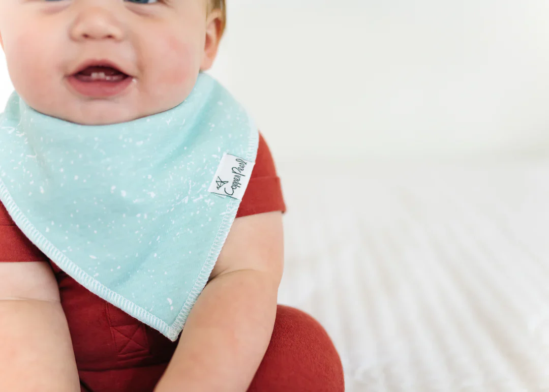Single Bandana Bib - Nautical by Copper Pearl - Image 4