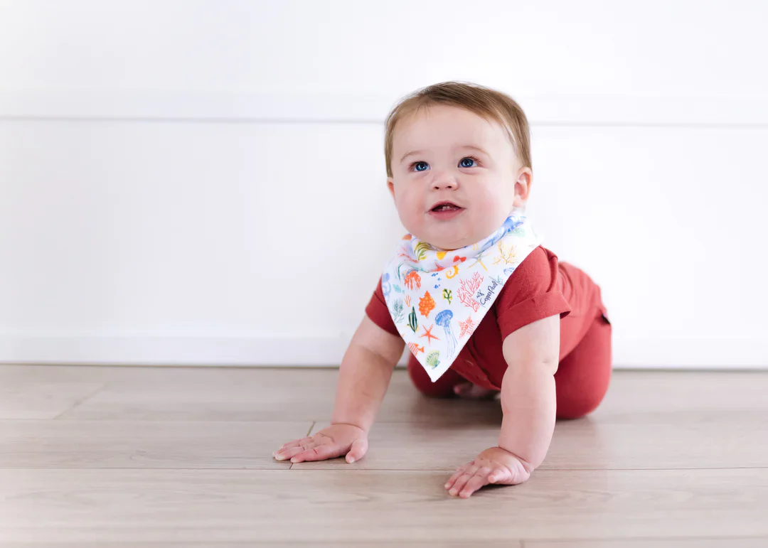 Single Bandana Bib - Nautical by Copper Pearl - Image 5