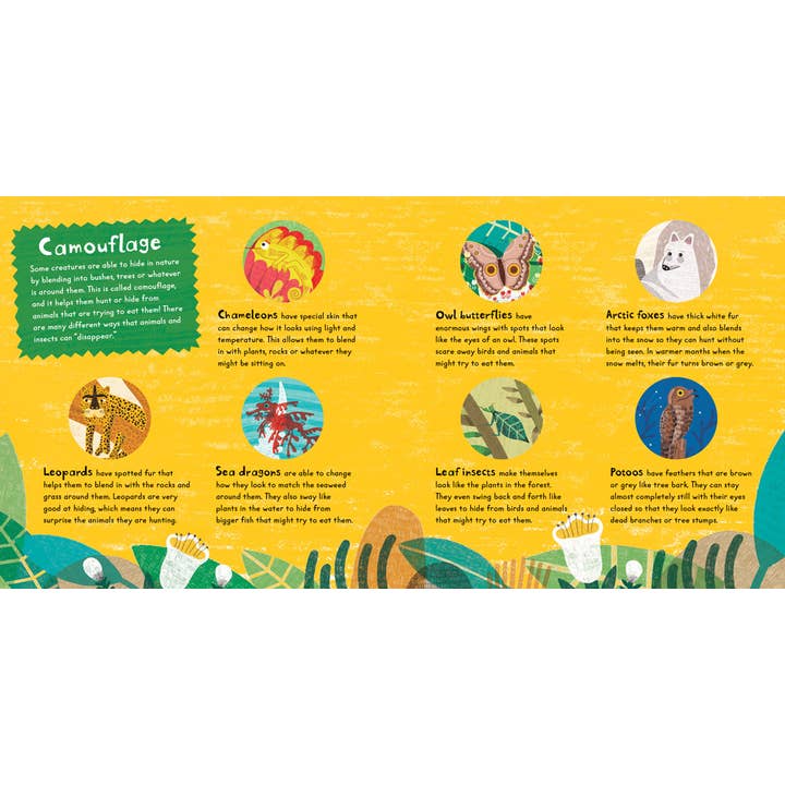 Sneak! - Board Book - Image 4