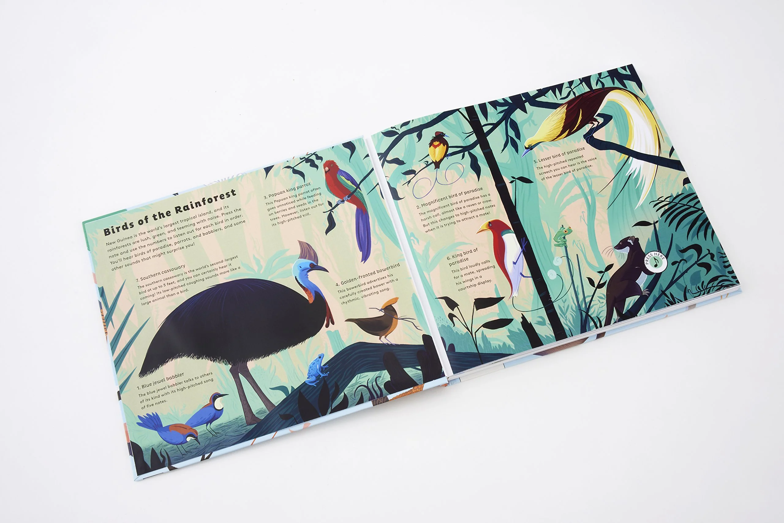 Sounds of Nature: World of Birds - Hardcover - Image 2