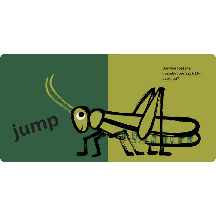 Spring Street Touch and Feel: Bugs - Board Book - Image 4