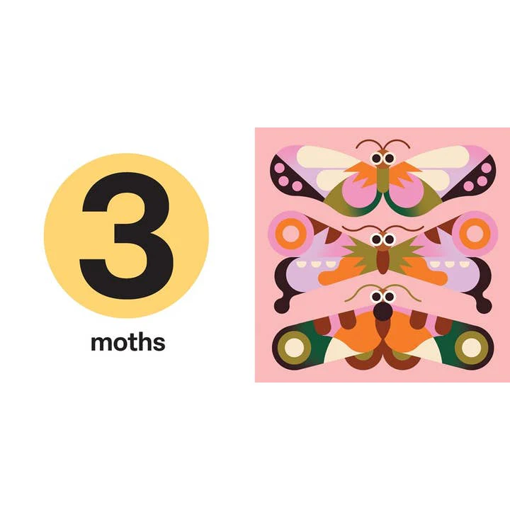 Spring Street Touch and Trace: Numbers - Board Book - Image 5