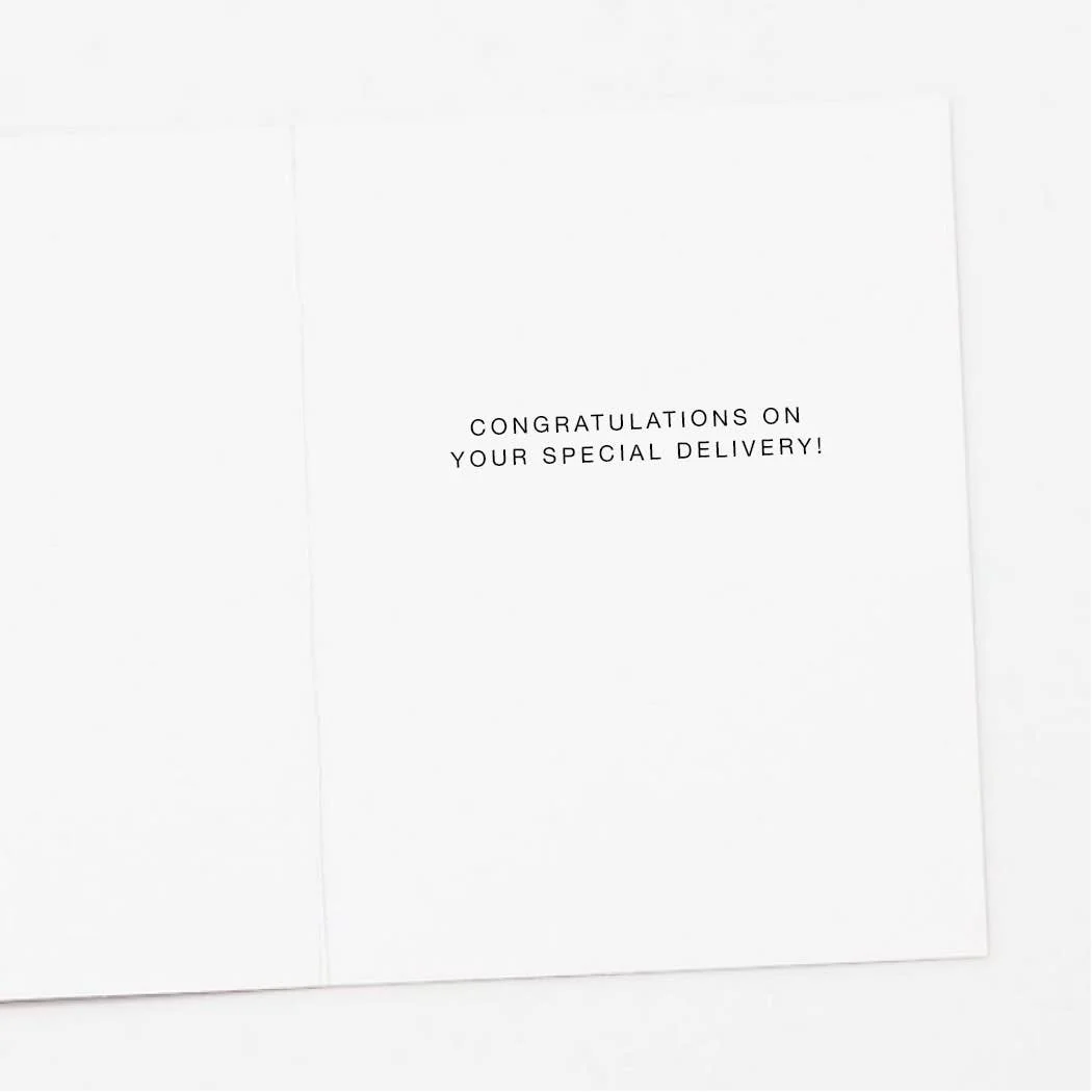 Stork Chick New Baby Card by Apartment 2 Cards - Image 2