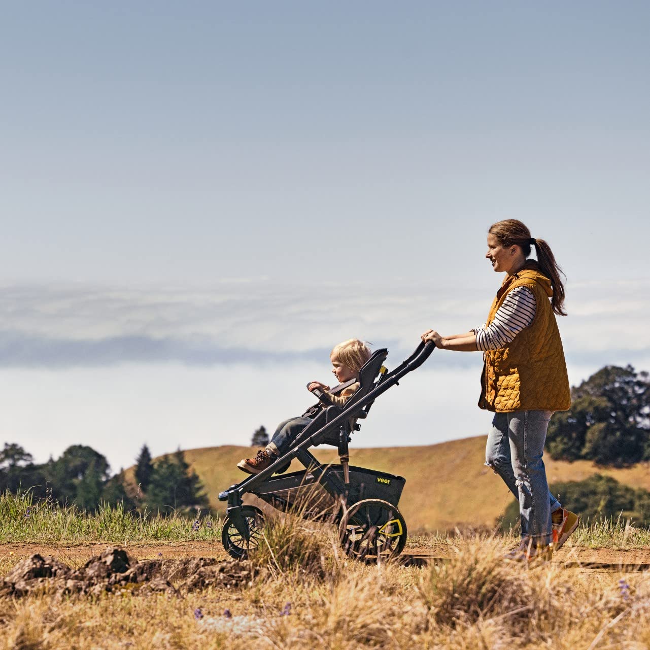 Switchback & Roll Stroller Frame by Veer - Image 5