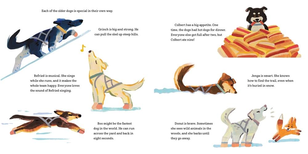 The Day Leap Soared - Hardcover - Image 4