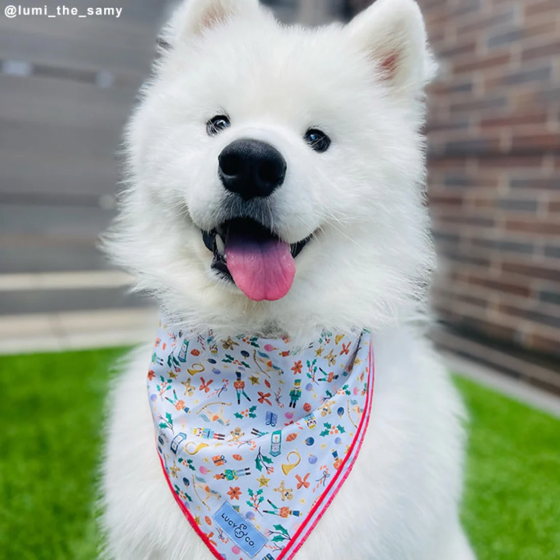 The Sugarplum Bandana - Large by Lucy & Co - FINAL SALE - Image 3