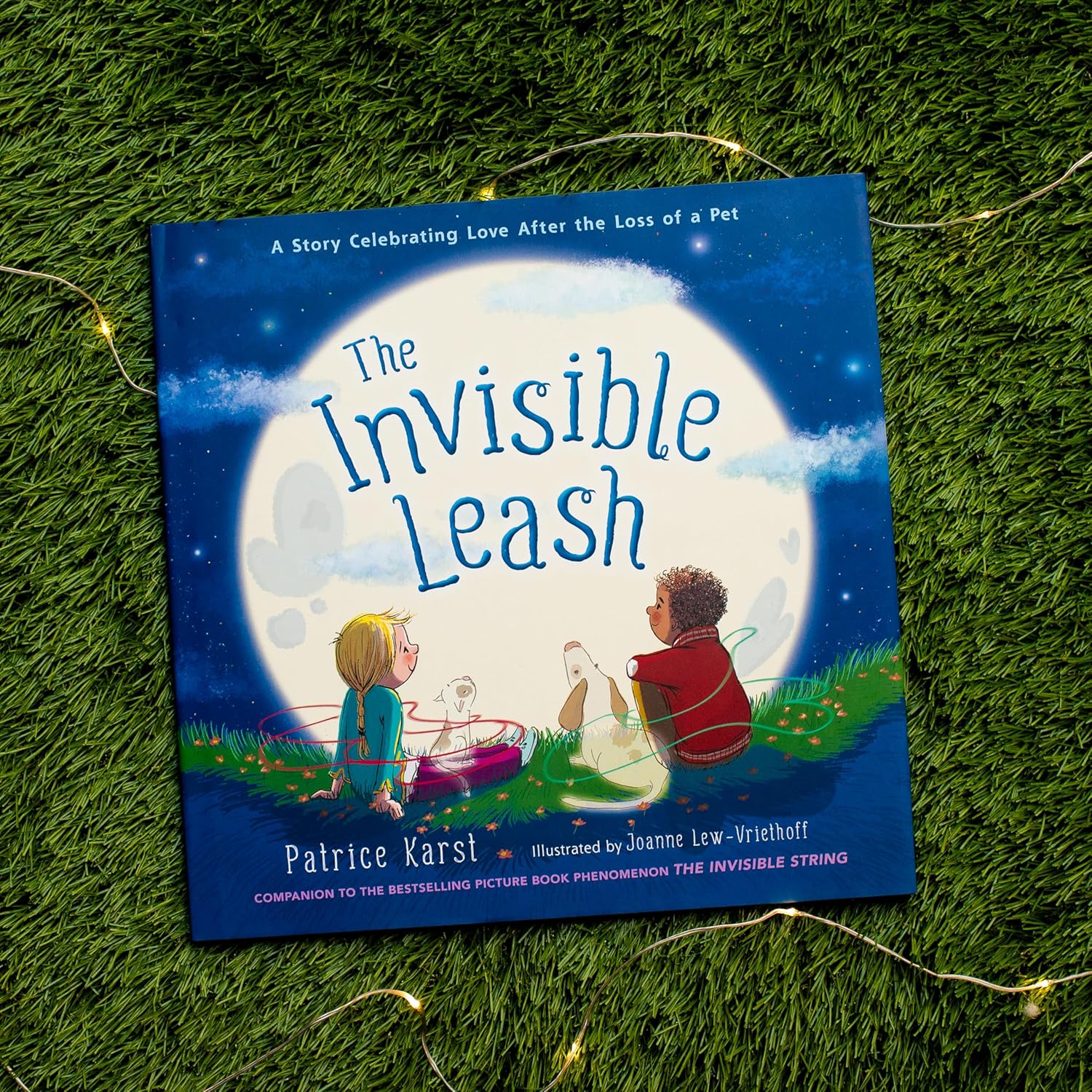 The Invisible Leash - Hardcover - Image 3
