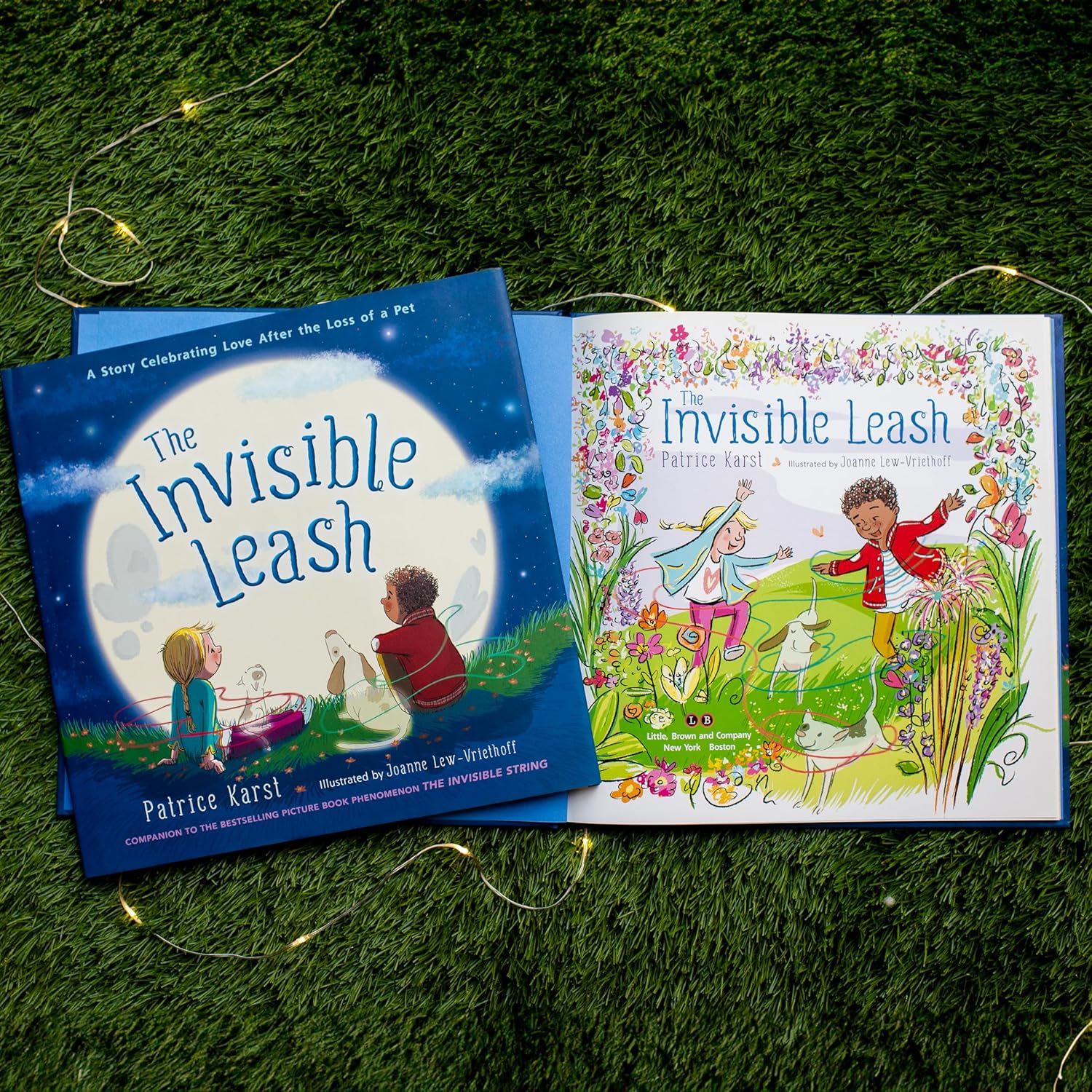 The Invisible Leash - Hardcover - Image 4
