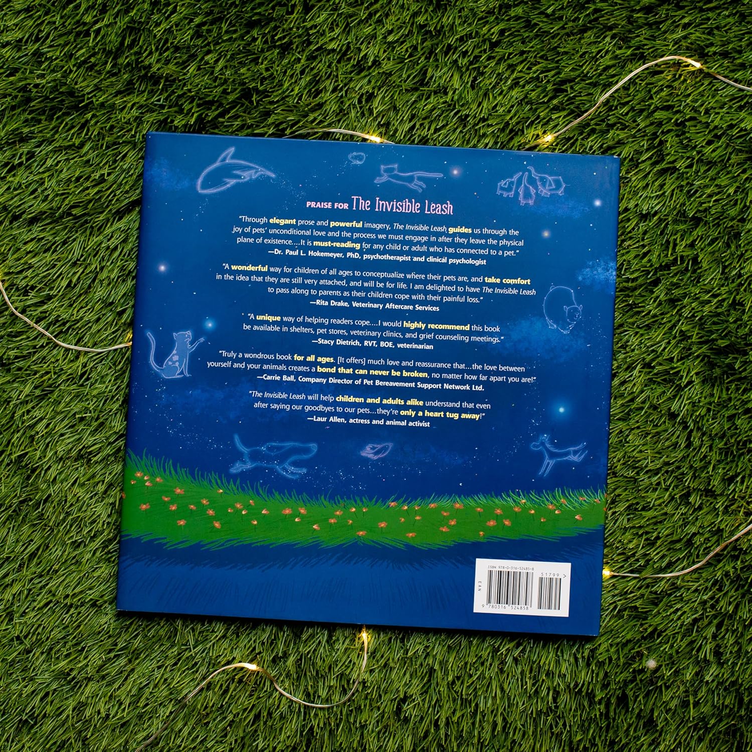 The Invisible Leash - Hardcover - Image 8