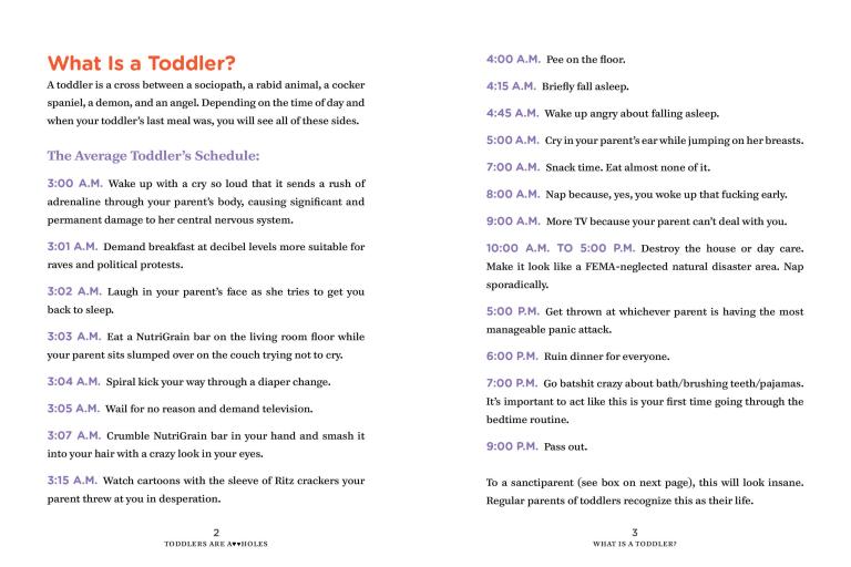Toddlers Are A**holes, It's Not Your Fault - Paperback - Image 2