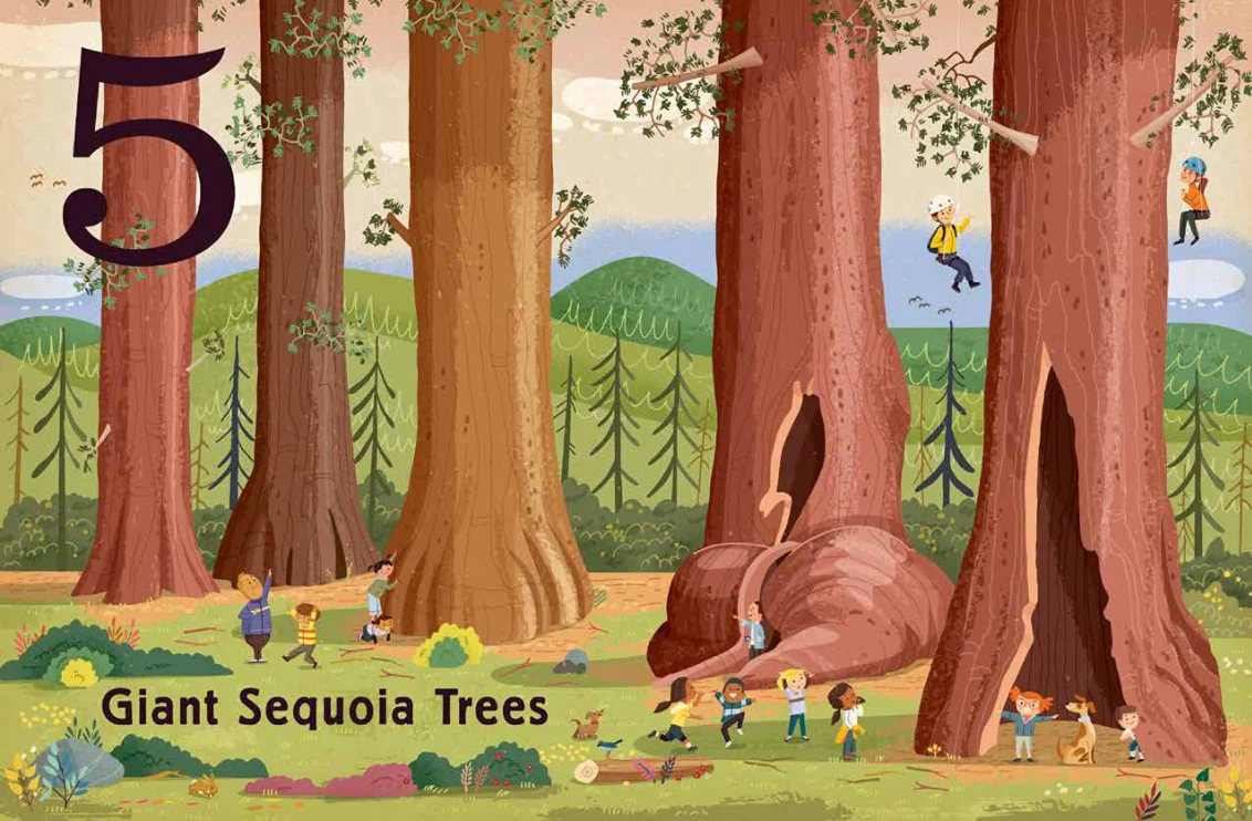Trees: A Count and Find Primer - Board Book - Image 4