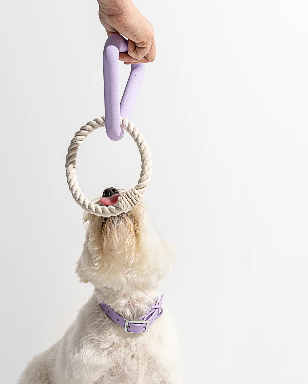 Triangle Tug Dog Chew Toy - Lilac by Wild One - Image 3