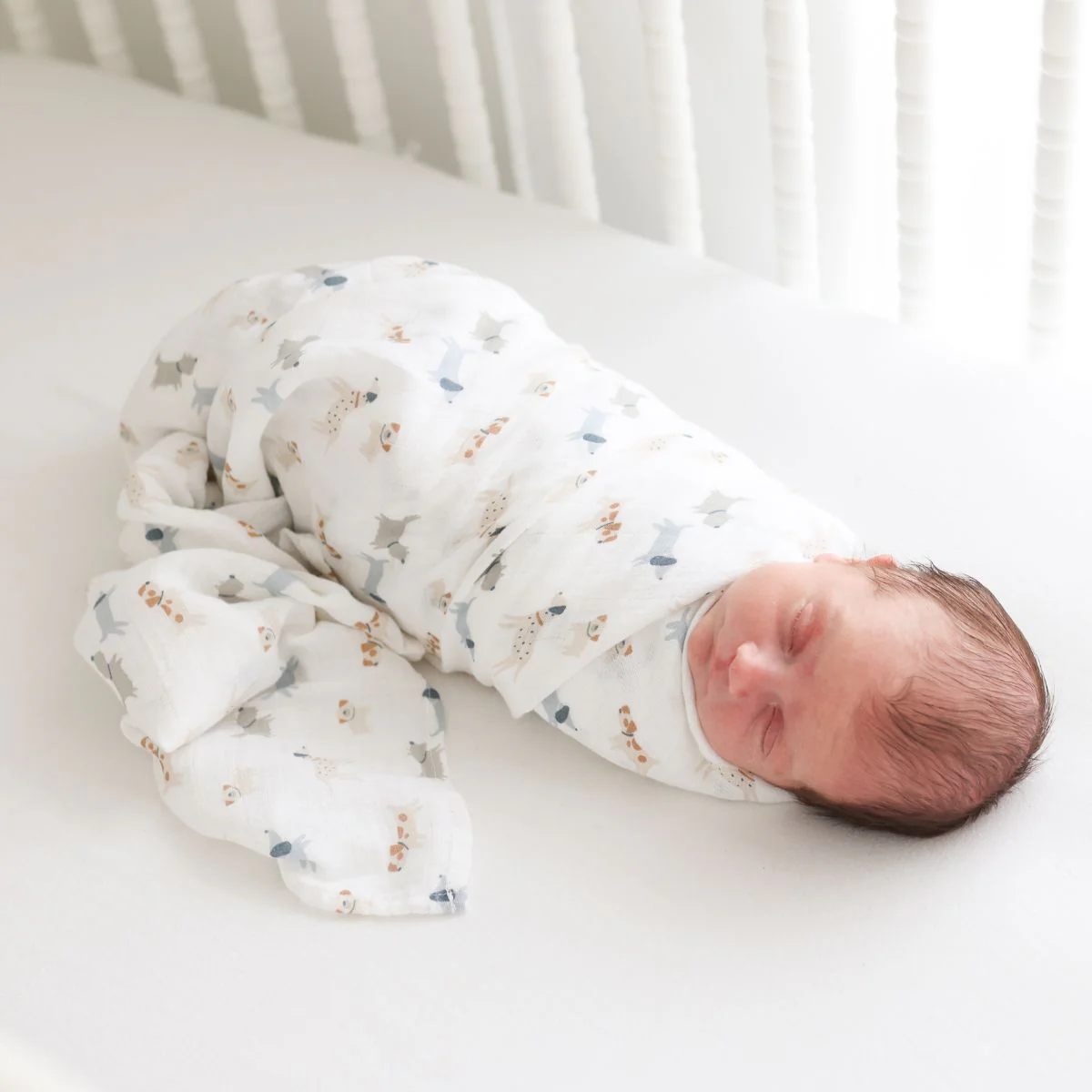 Two Pack Cotton Muslin Swaddles - Puppy Dog & Stars by Lulujo - Image 4