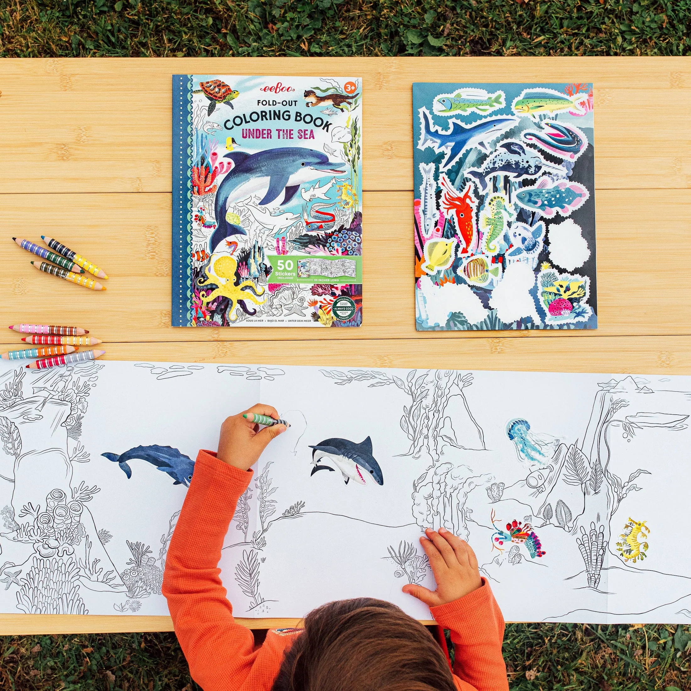 Under the Sea Fold-Out Coloring Book by Eeboo - Image 2