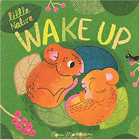Wake Up - Little Nature Board Book