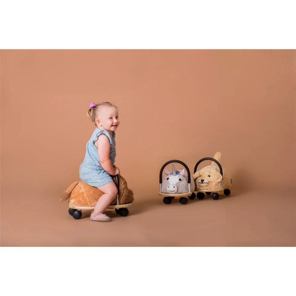 Wheely Bug Ride On Toy - Small by DAM - Image 11