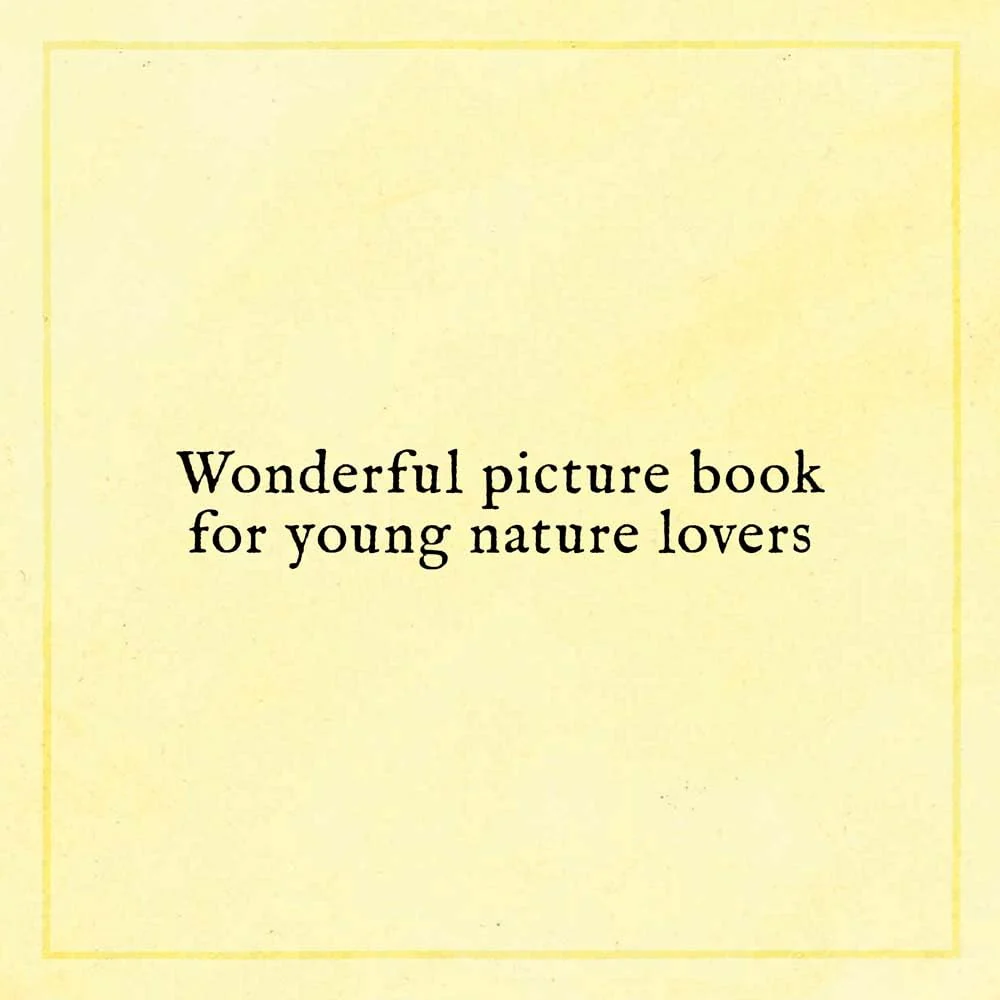 When You Find The Right Rock - Hardcover - Image 2