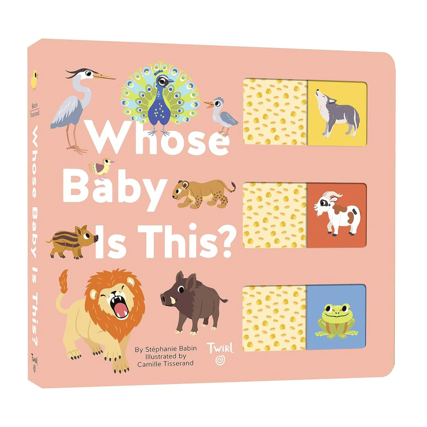 Whose Baby Is This? - Board Book