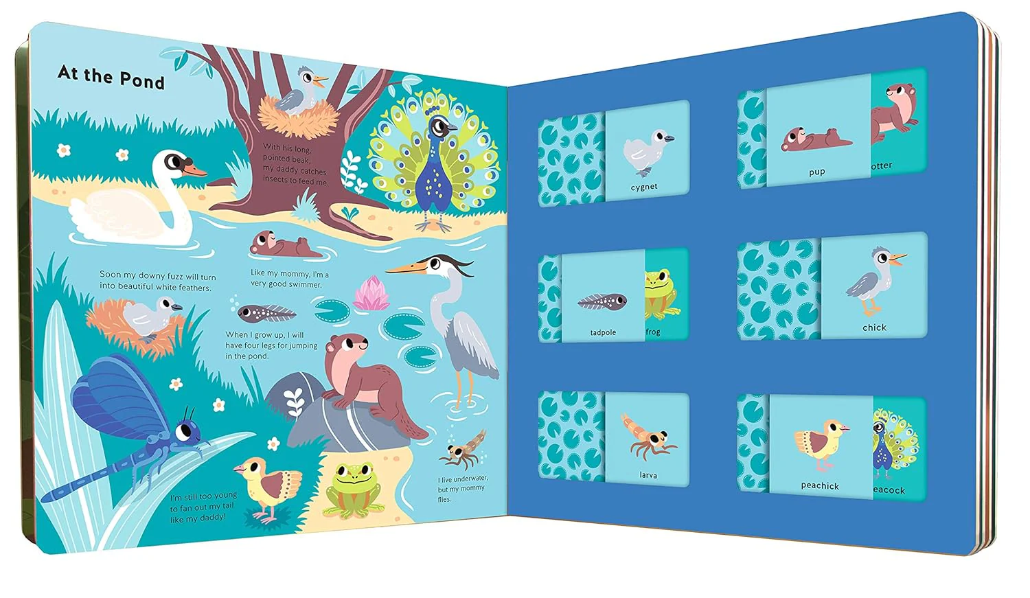 Whose Baby Is This? - Board Book - Image 2