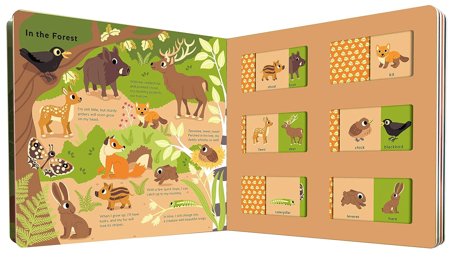 Whose Baby Is This? - Board Book - Image 3