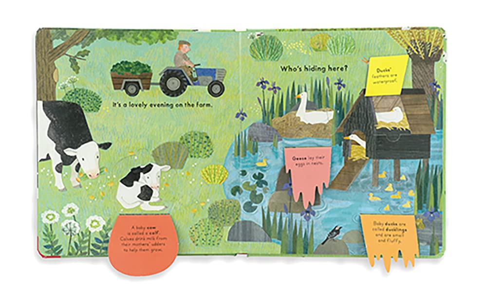 Who's Hiding on the Farm? - Board Book - Image 2