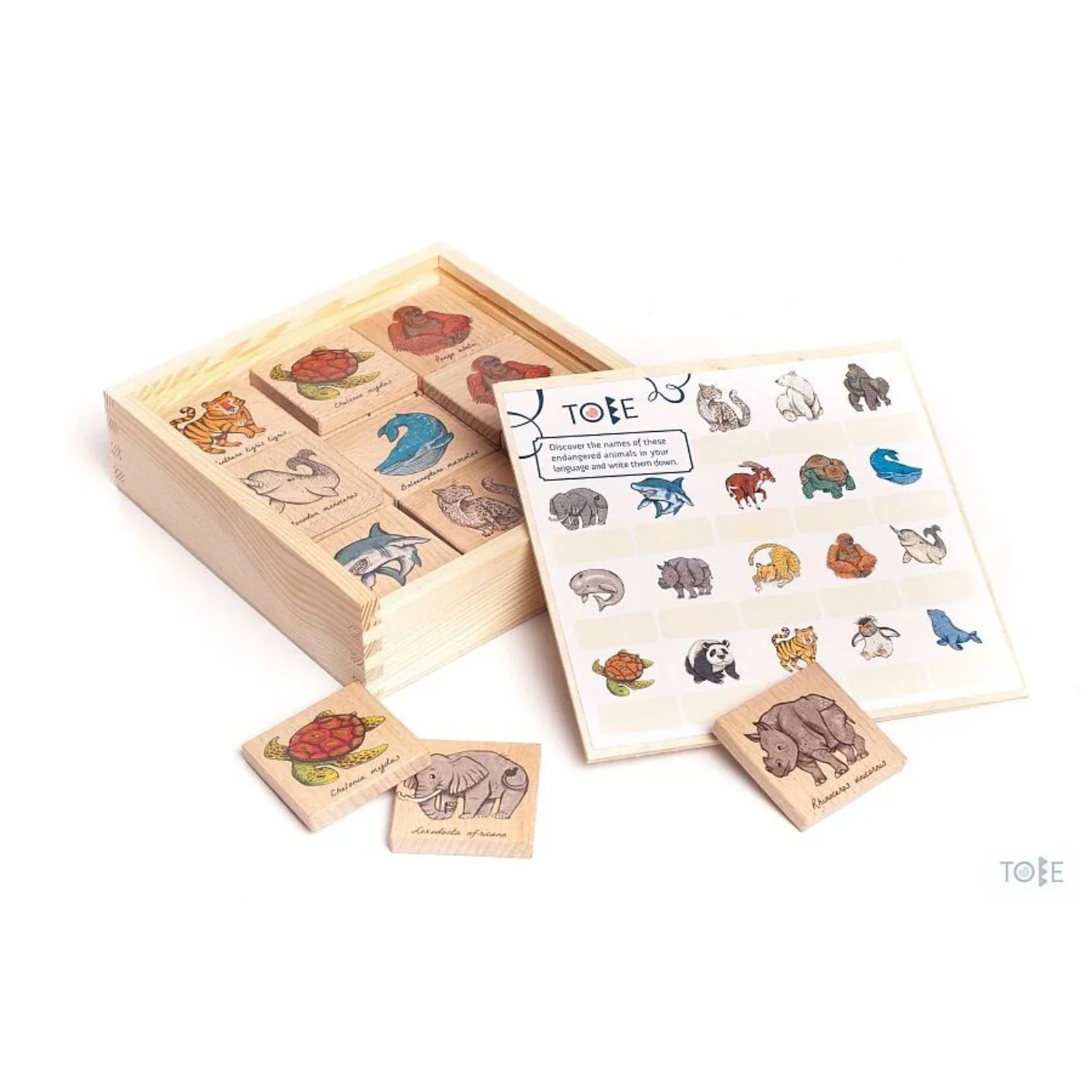 Wooden Memo Animals by Little Poland Gallery