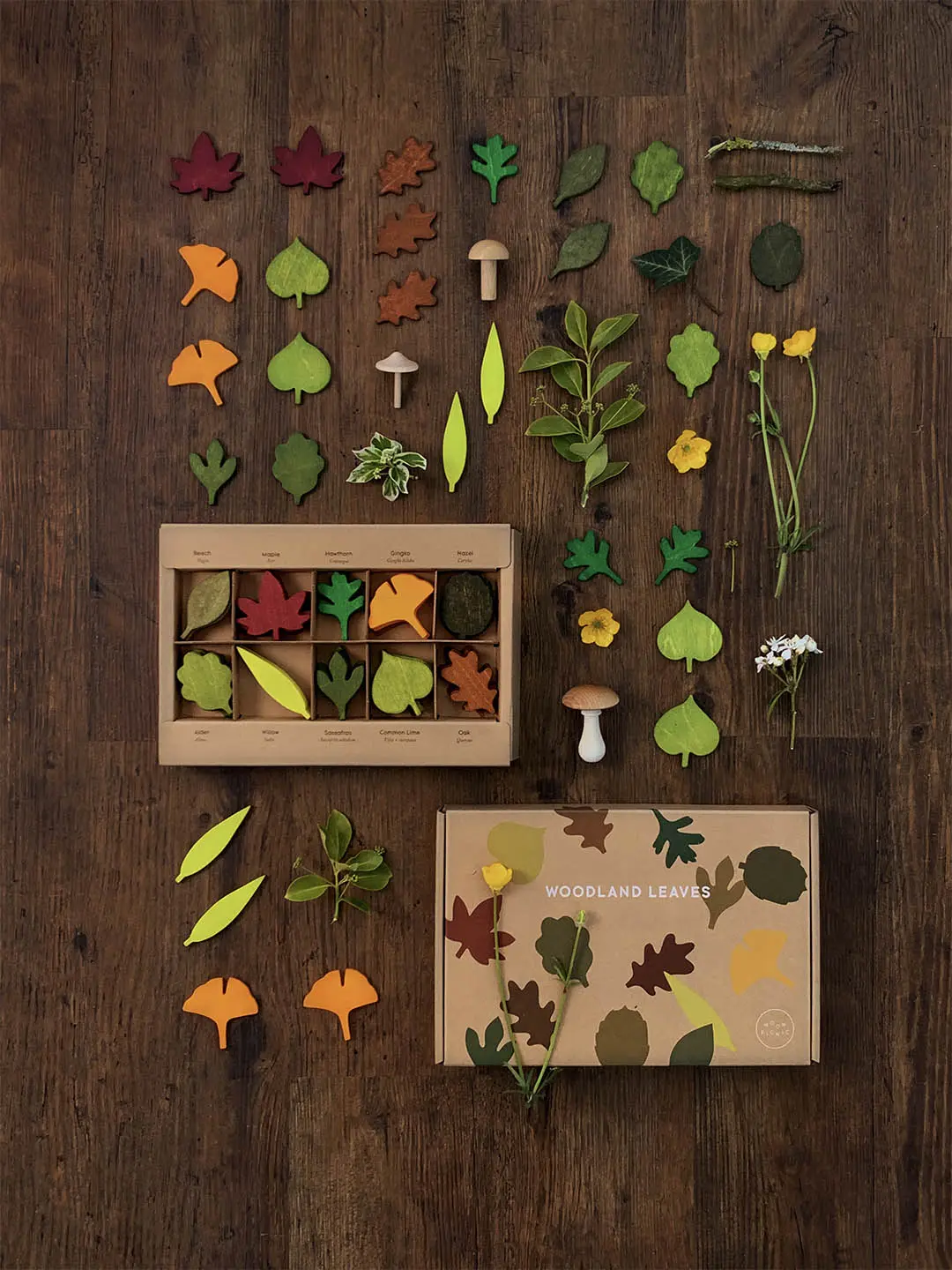 Woodland Leaves by Moon Picnic - Image 3