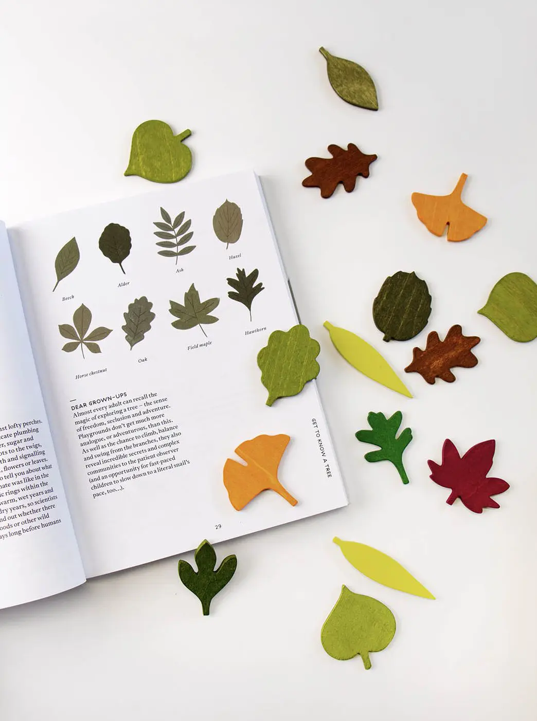 Woodland Leaves by Moon Picnic - Image 5