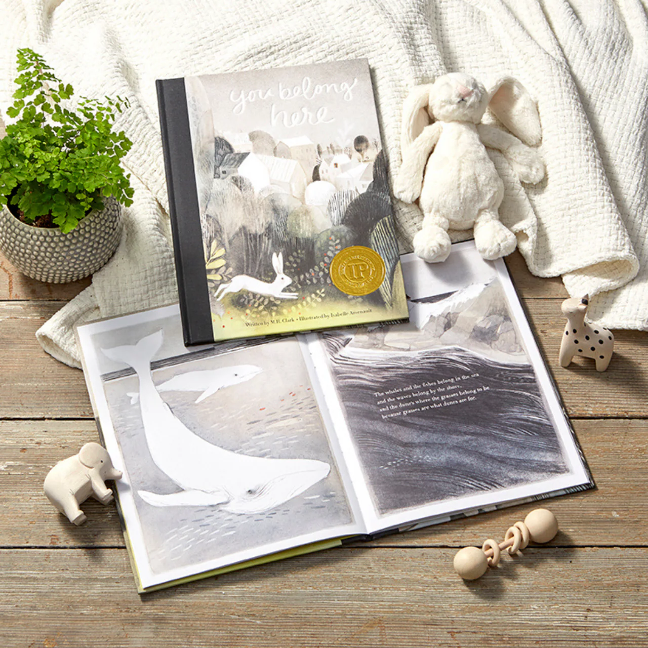 You Belong Here - Hardcover - Image 2