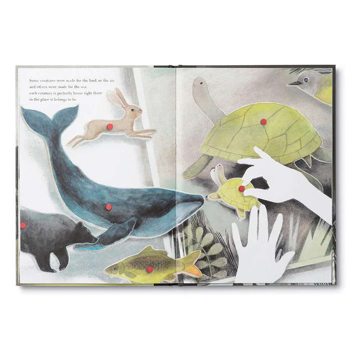 You Belong Here - Hardcover - Image 5