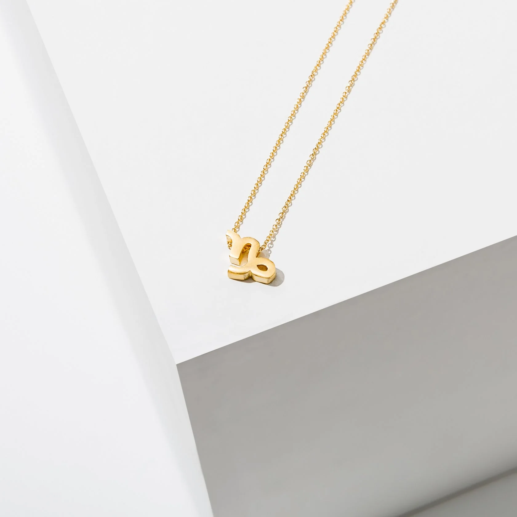 Zodiac Necklace - 24K Gold Plated by Larissa Loden - Image 13